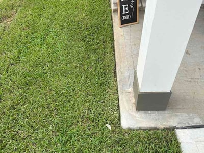 Lawn Care service in Tomball, 77375