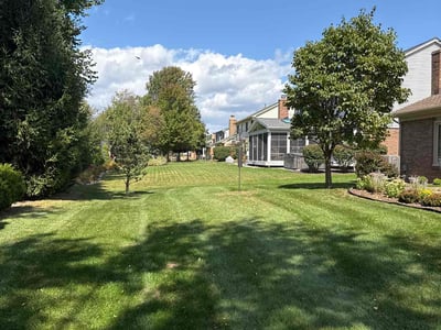 Lawn Care service in Harrison Township, 48045