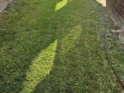 Lawn Care service in Benbrook, 76126