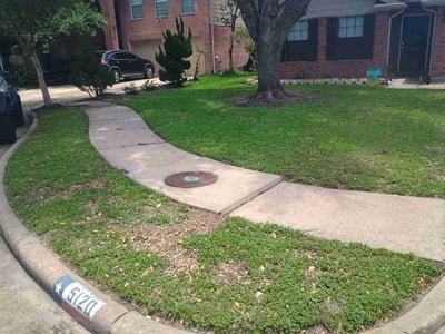 Lawn Care service in Rosenberg, 77471