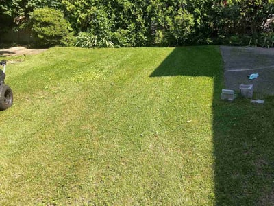 Lawn Care service in ,