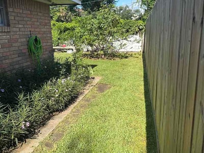Lawn Care service in Pasadena, 77506