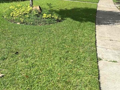 Lawn Care service in Manvel, 77578
