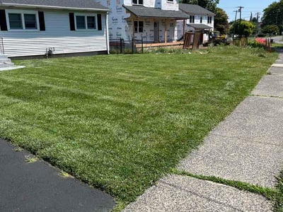 Lawn Care service in Wethersfield, 06109