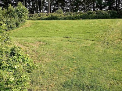 Lawn Care service in New Haven County, 06471