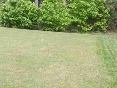 Lawn Care service in New Haven County, 06471