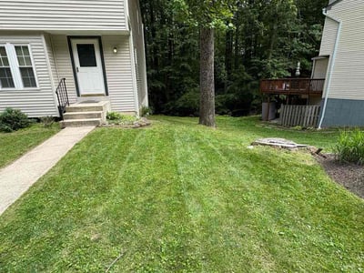 Lawn Care service in Silver Spring, 20910