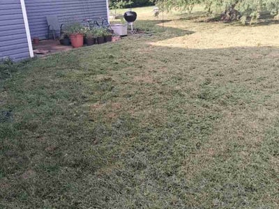 Lawn Care service in O Fallon, 63366