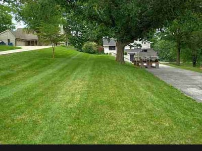 Lawn Care service in Edwardsville, 62025