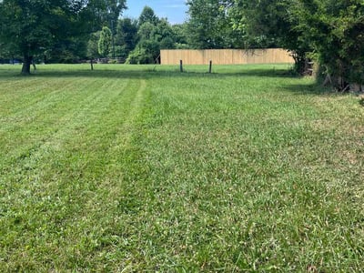 Lawn Care service in Rockville, 20850