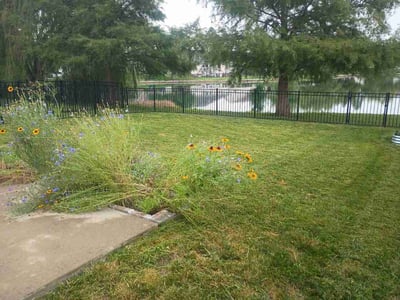 Lawn Care service in O Fallon, 62269
