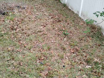 Leaf Removal service in Williamsburg, 23185