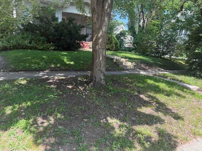 Leaf Removal service in Liberty, 64068
