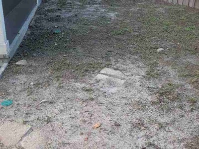 Leaf Removal service in Lakeland, 33801