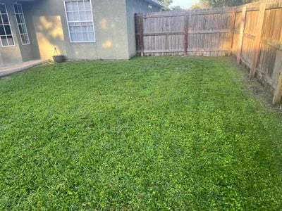 Lawn Care service in Panama City Beach, 32408