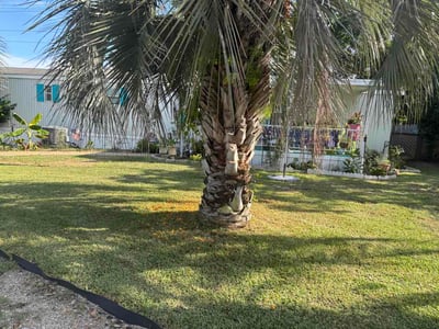 Lawn Care service in Panama City Beach, 32408