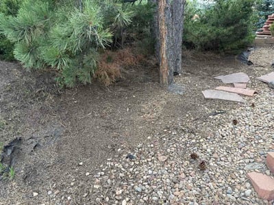 Lawn Care service in Aptos, 95003