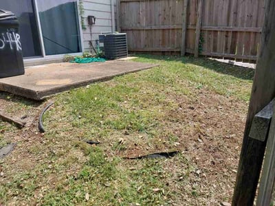 Leaf Removal service in Ellicott City, 21043