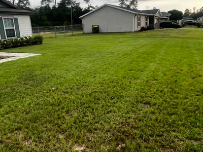 Lawn Care service in Ocala, 34480