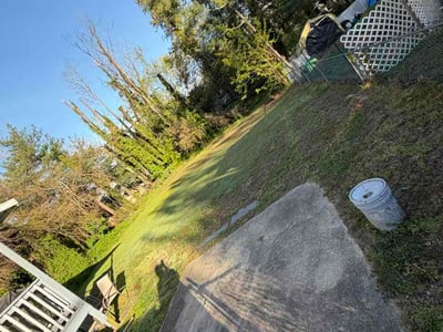 Leaf Removal service in Edison, 8817