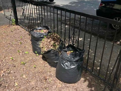 Leaf Removal service in Edison, 8817