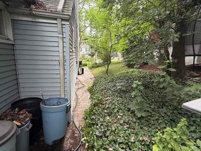 Leaf Removal service in Edison, 8817