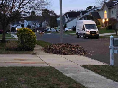 Leaf Removal service in Edison, 8817