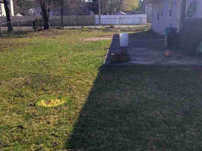 Leaf Removal service in Edison, 8817