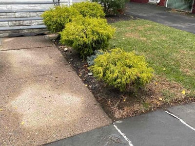 Leaf Removal service in Edison, 8817
