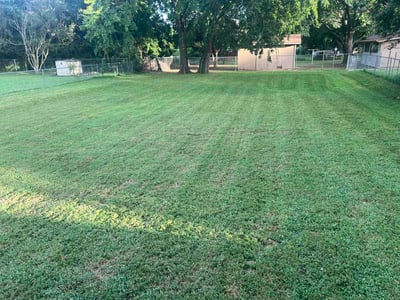 Lawn Care service in Denison, 75021