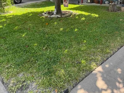 Lawn Care service in Denison, 75021