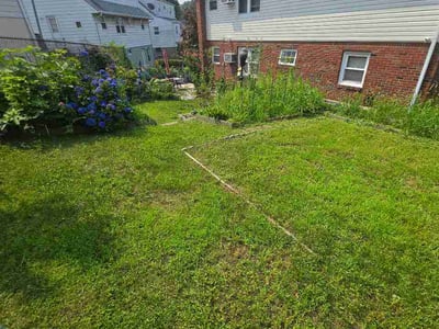 Lawn Care service in Hoboken, 07030