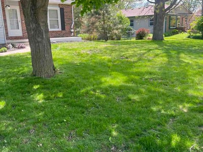 Lawn Care service in Benton Harbor, 49022
