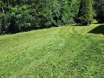 Lawn Care service in Rochester, 55902