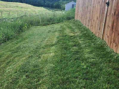 Lawn Care service in Rochester, 55902