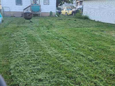 Lawn Care service in Rochester, 55902