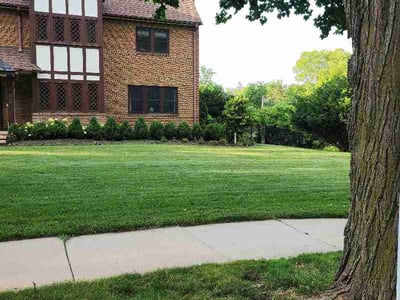 Lawn Care service in Rochester, 55902