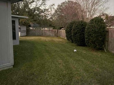 Lawn Care service in San Rafael, 94901
