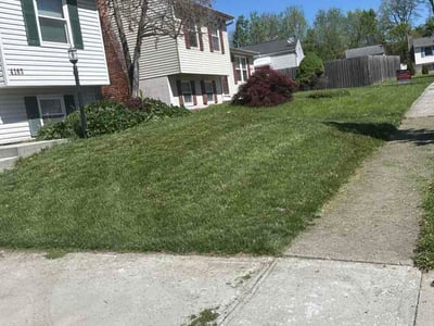 Lawn Care service in Vineland, 08360