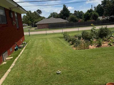 Lawn Care service in Santa Cruz, 95060