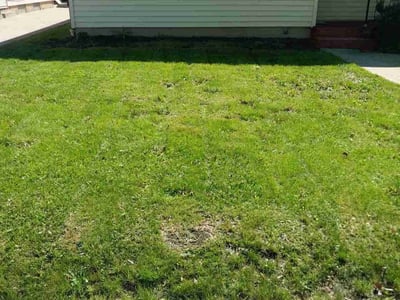 Lawn Care service in Burlington, 53105