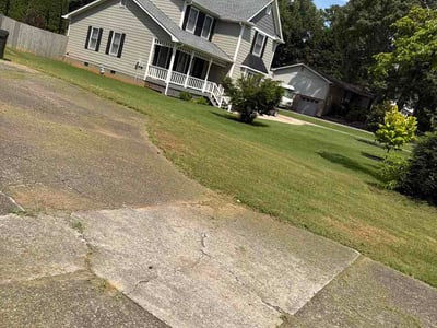 Lawn Care service in South Richmond Hill, 11419