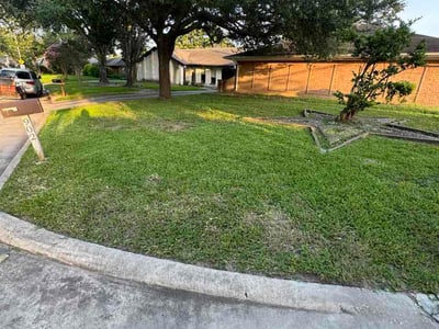 Lawn Care service in South Richmond Hill, 11419