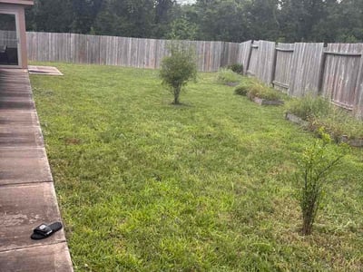 Lawn Care service in South Richmond Hill, 11419