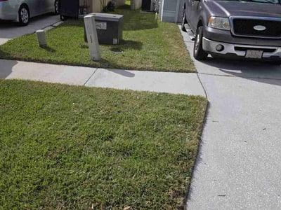 Lawn Care service in Flushing, 11354
