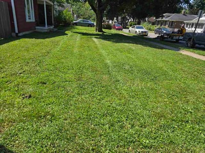 Lawn Care service in Cape May, 08204
