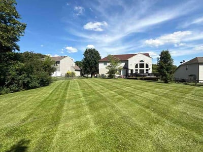 Lawn Care service in Cape May, 08204