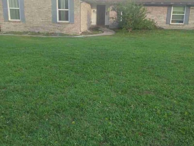 Lawn Care service in Santa Maria, 93454