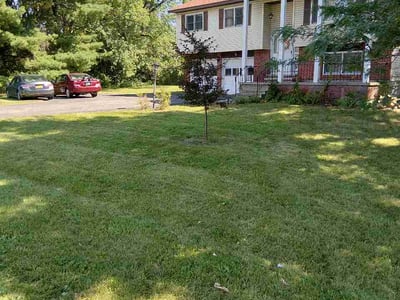 Lawn Care service in Middle Village, 11379
