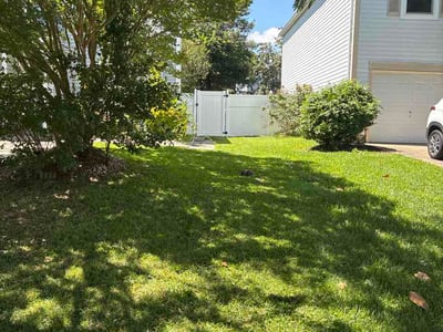 Lawn Care service in Harrisonburg, 22802